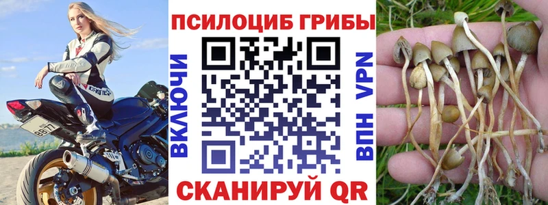 Купить где  Мончегорск  Псилоцибиновые грибы прущие грибы 
